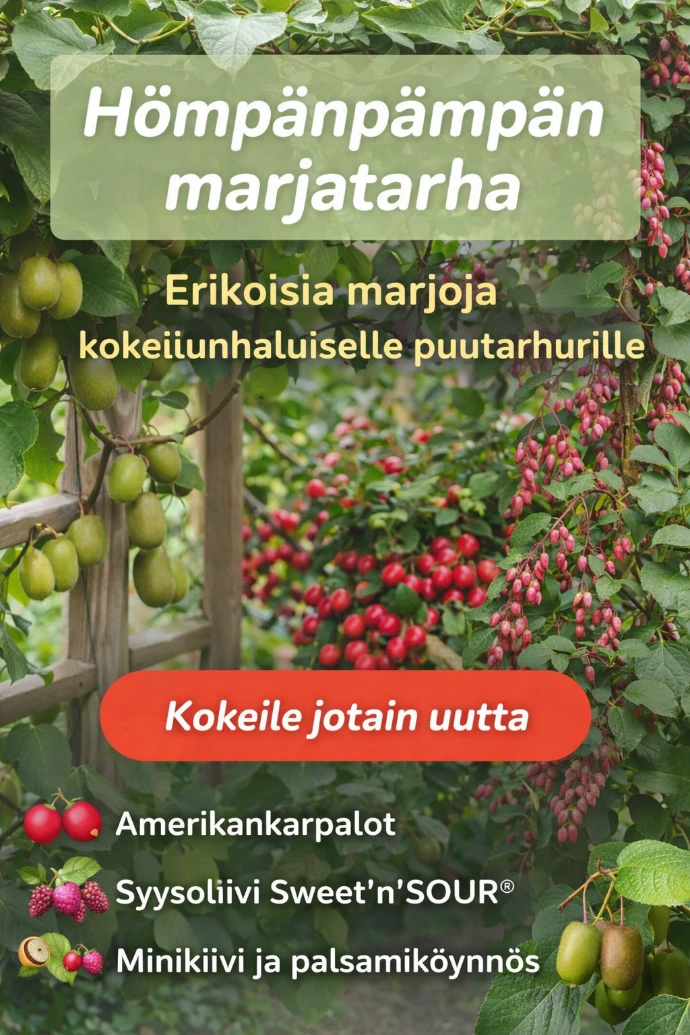 Laaja kasvivalikoima puutarhaan Vääksyn Viherkukan puutarhamyymälässä