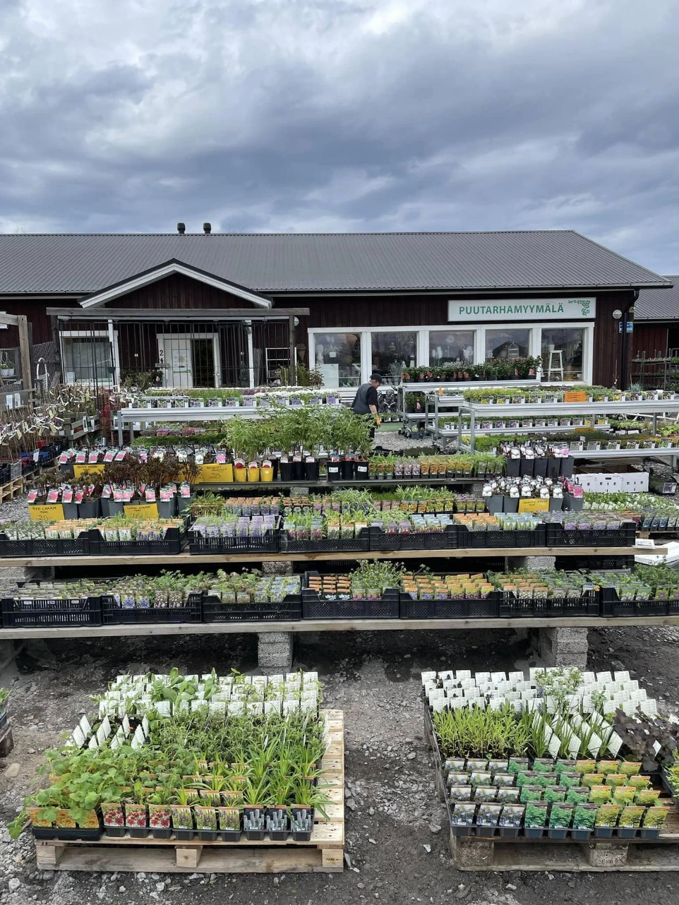 Taimimyymälä Vääksy – puut, pensaat ja perennat