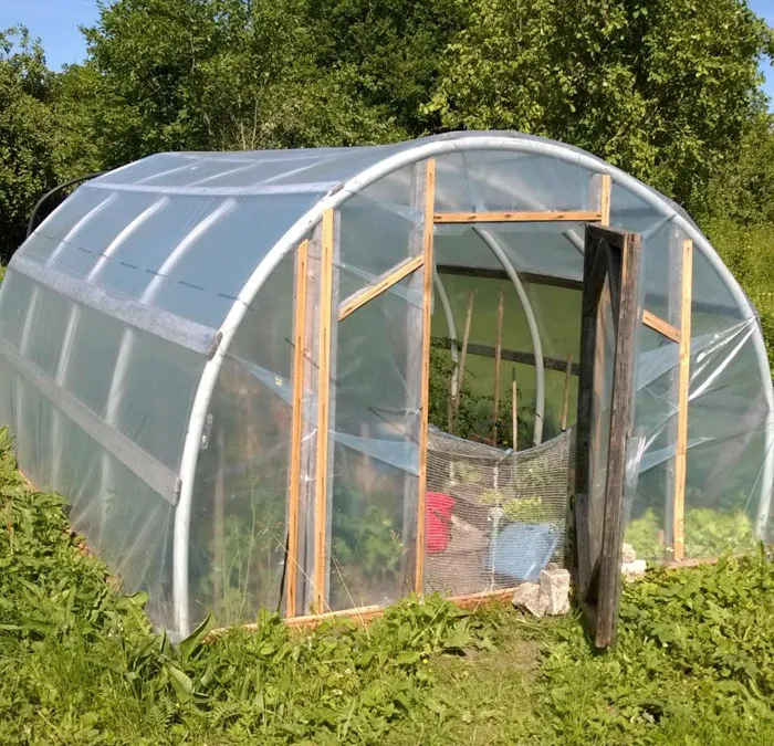 Kasvihuonemuovi 30 m² 5 × 6 m
