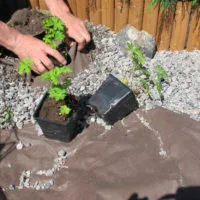 Maisemointikangas 1,6 x 5 m