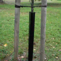 RUNGONSUOJAVERKKO 55 CM 2 KPL