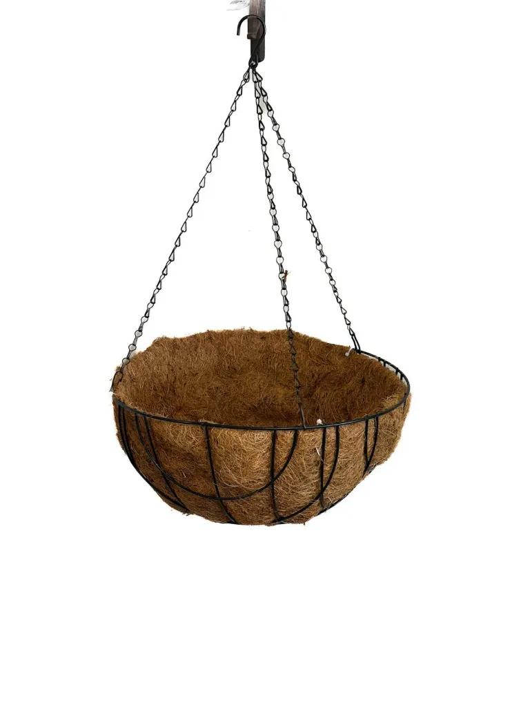 Kookosamppeli 40 cm
