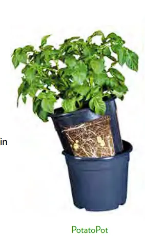 POTATOPOT-PERUNAVILJELYRUUKKU