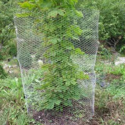 Jänisverkko 1,2 x 10 m vihreä