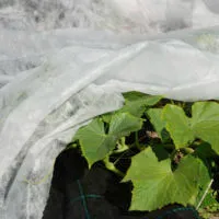 Hallaharso 16M2 1,6x10m