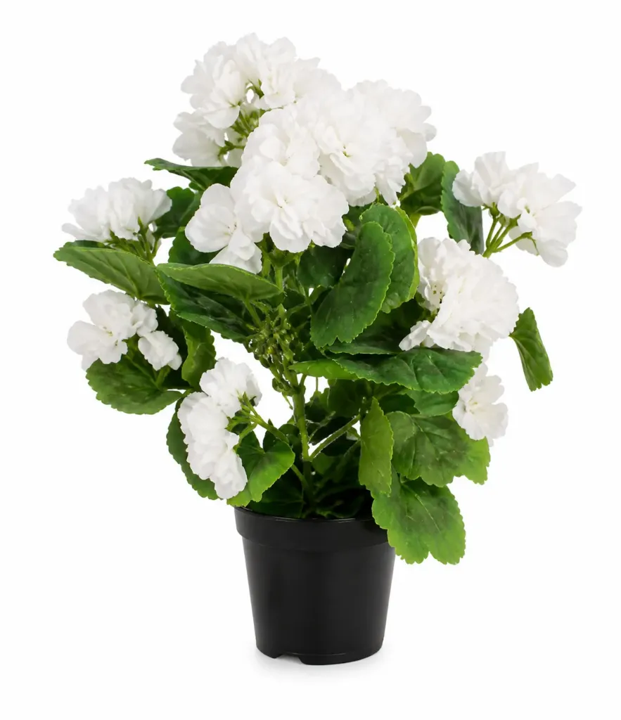 Pelargonia valkoinen tekokukka ruukussa 33 cm