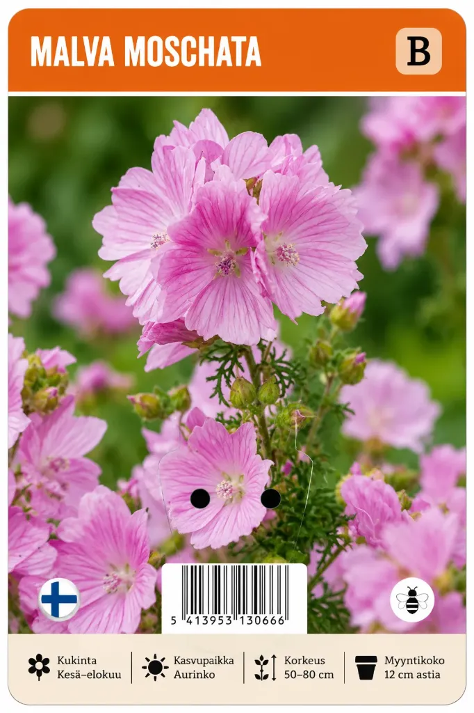 Malva, myskimalva, Malva moschata