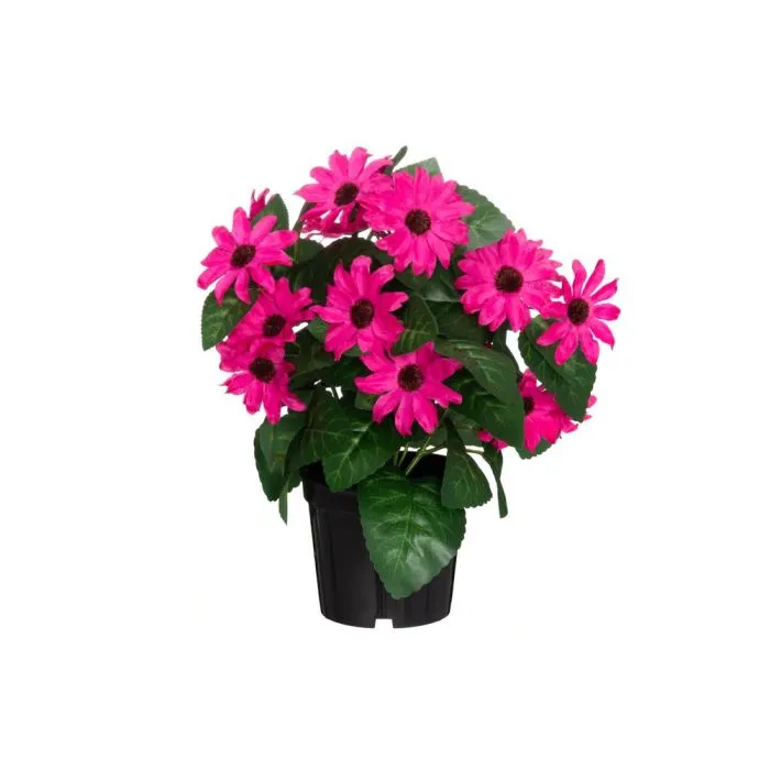 Tähtisilmä tekokasvi ruukussa Aniliini 27 cm, UV-suojattu | 4 Living Collection