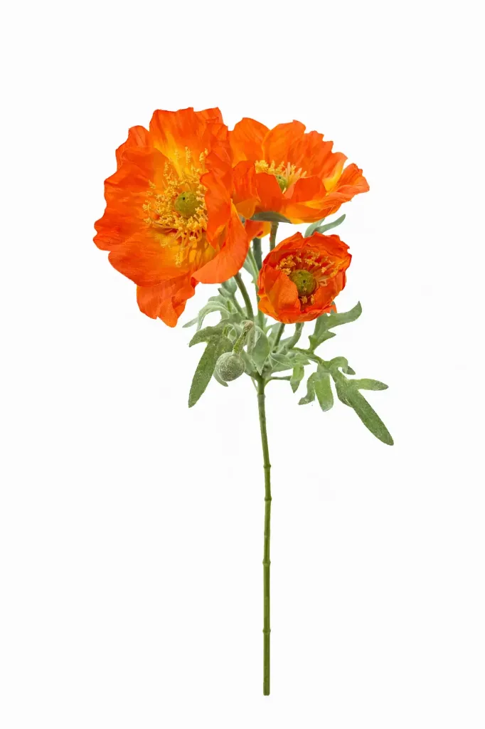 Unikko oransinpunainen isohko koristeoksa 62 cm – 4 Living Collection