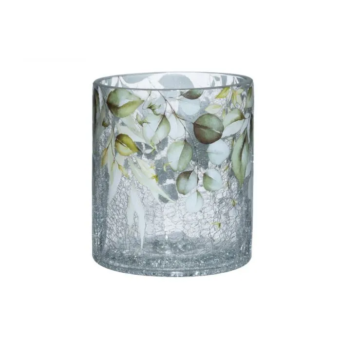 Lasilyhty Eukalyptus 13 cm – 4 Living Collection