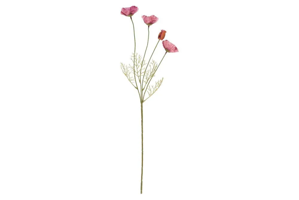 Unikko malva mini oksa 60 cm – 4 Living Collection