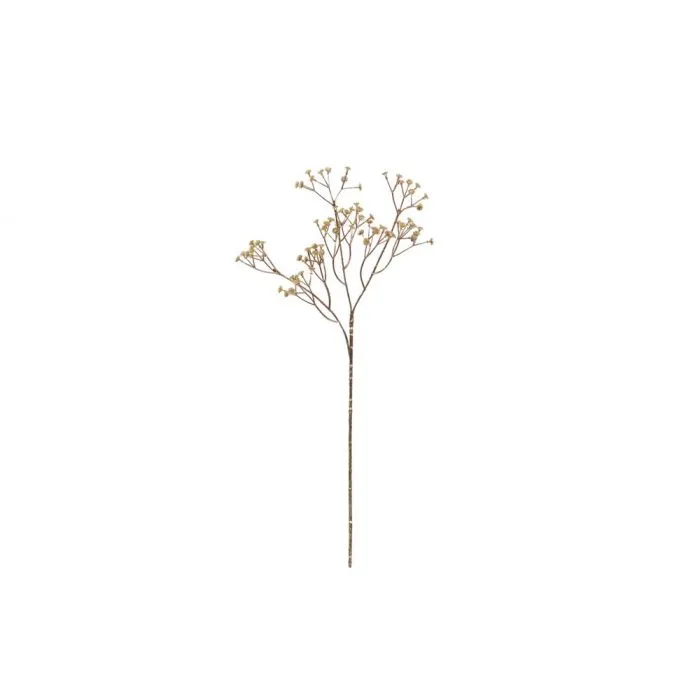 Harsokukka-oksa kulta 56 cm – 4 Living Collection
