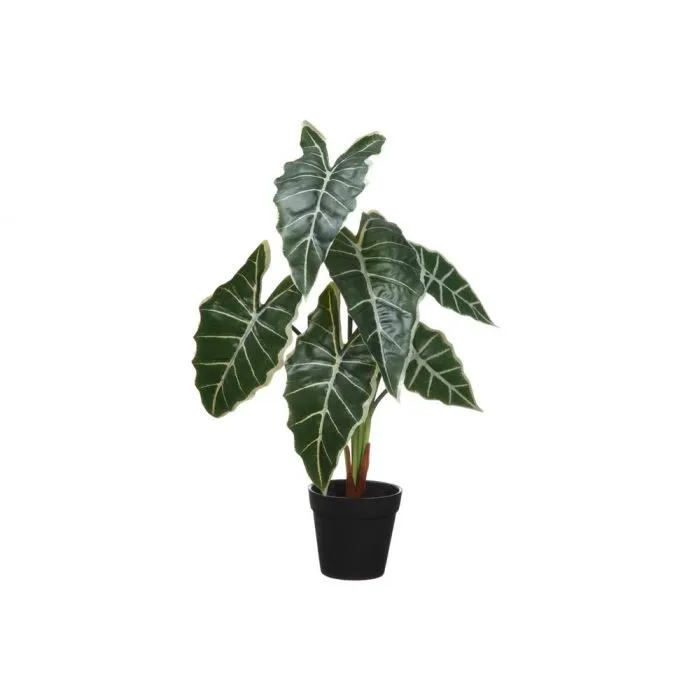 Juurakkovehka 51 cm | 4 Living Collection