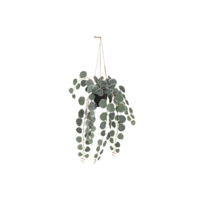 Herttalyhty amppelikasvi 40 cm | Tekokasvi |