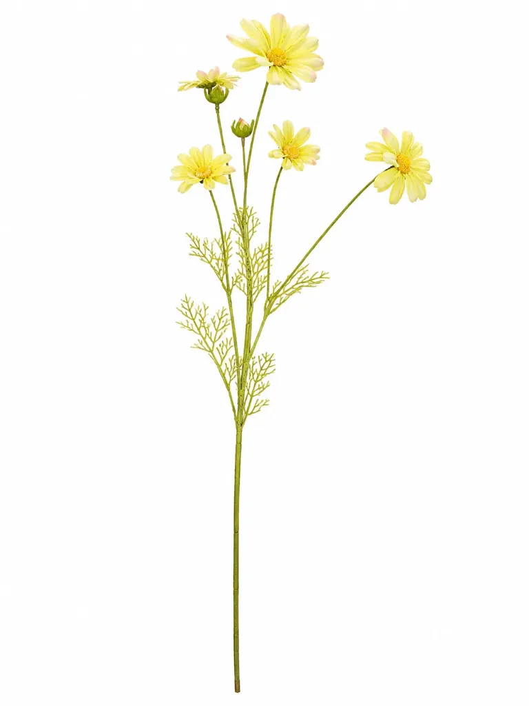 Cosmos-kukka 90 cm