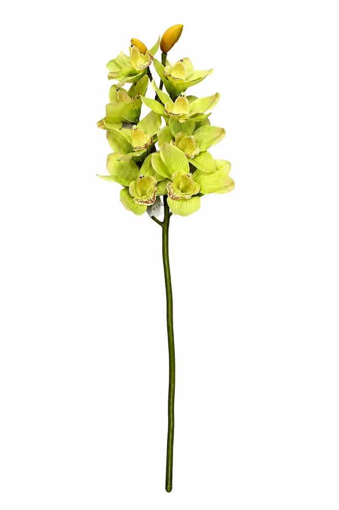 Orkidea vaaleanvihreä, silkkikukka 68 cm