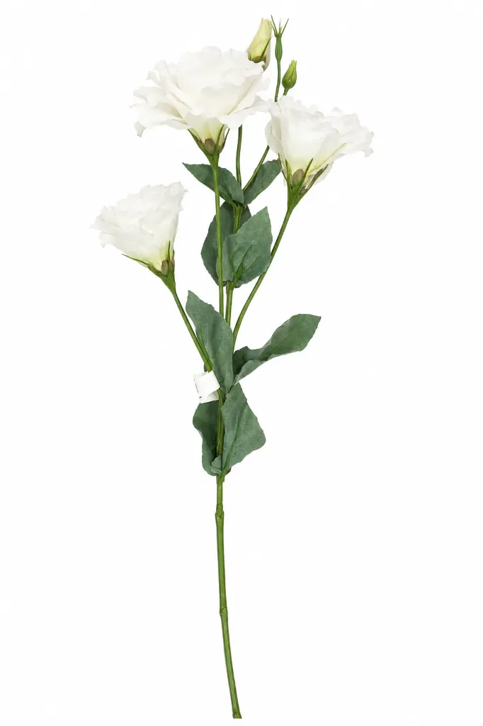 Eustoma valkoinen silkkikukka 68 cm