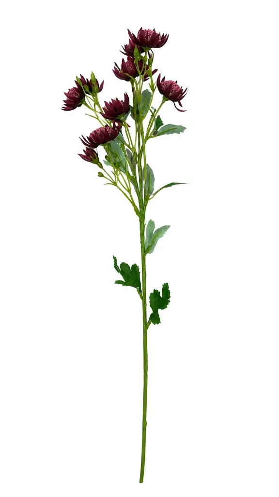 Tähtiputki lila silkkikukka 63 cm
