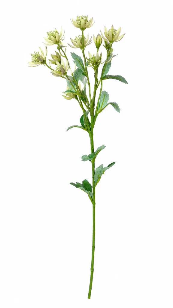 Tähtiputki valkoinen silkkikukka 63 cm