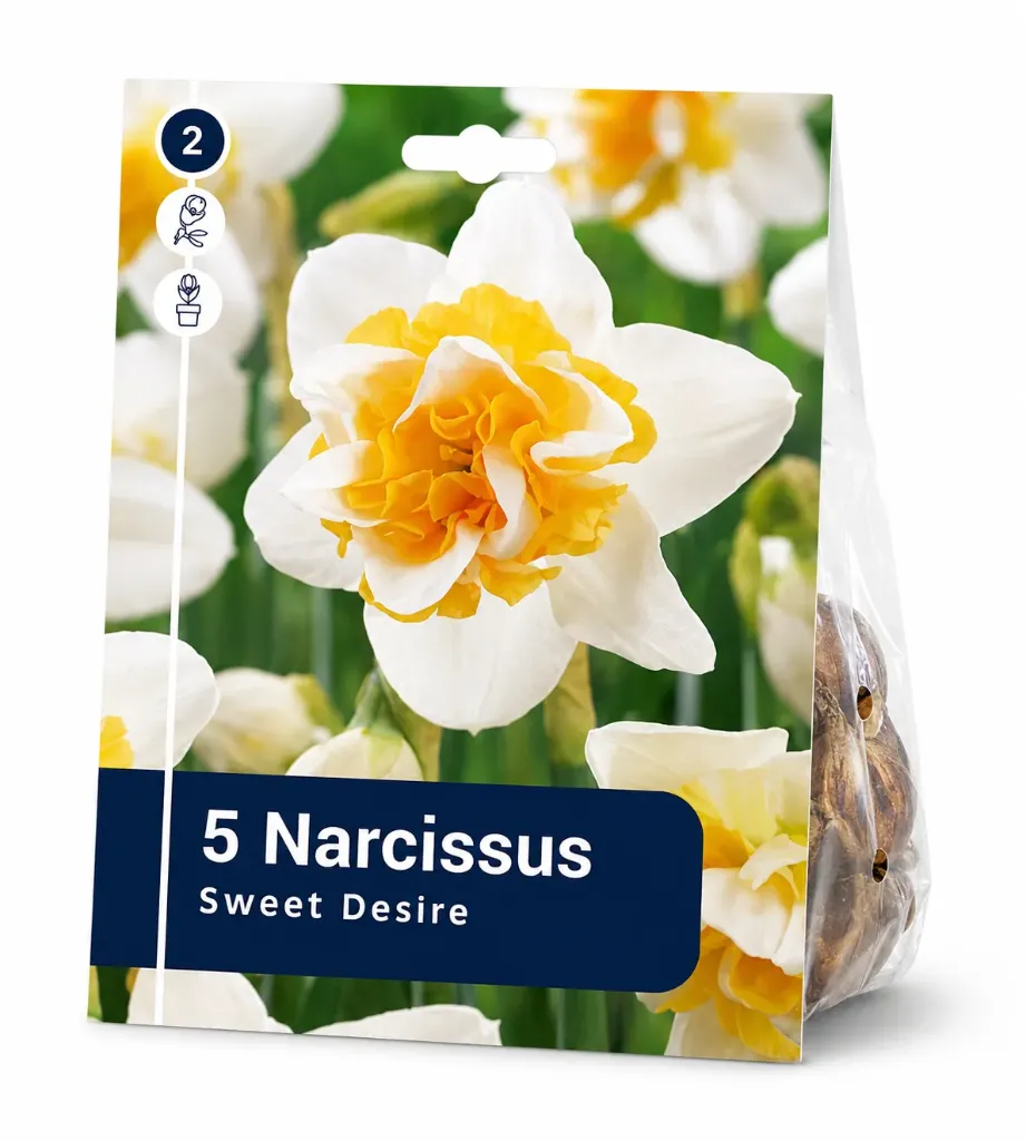 Narsissi ’Sweet Desire’ – Narcissus ’Sweet Desire’ – 5 sipulia
