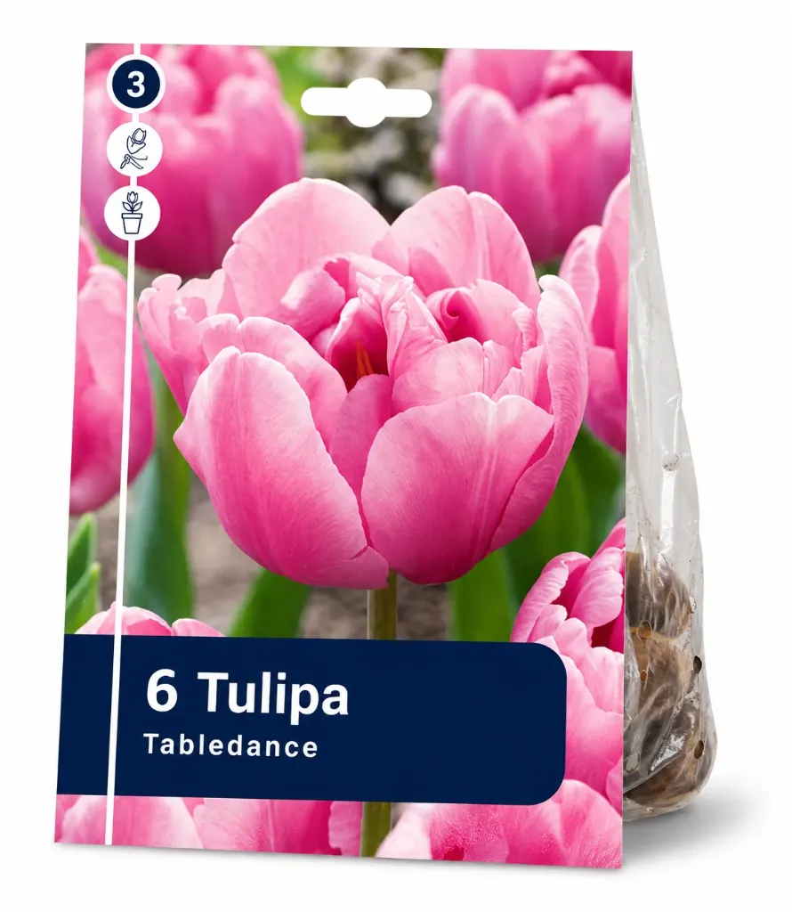 Tulppaani ’Tabledance’ – Tulipa ’Tabledance’ – 6 sipulia