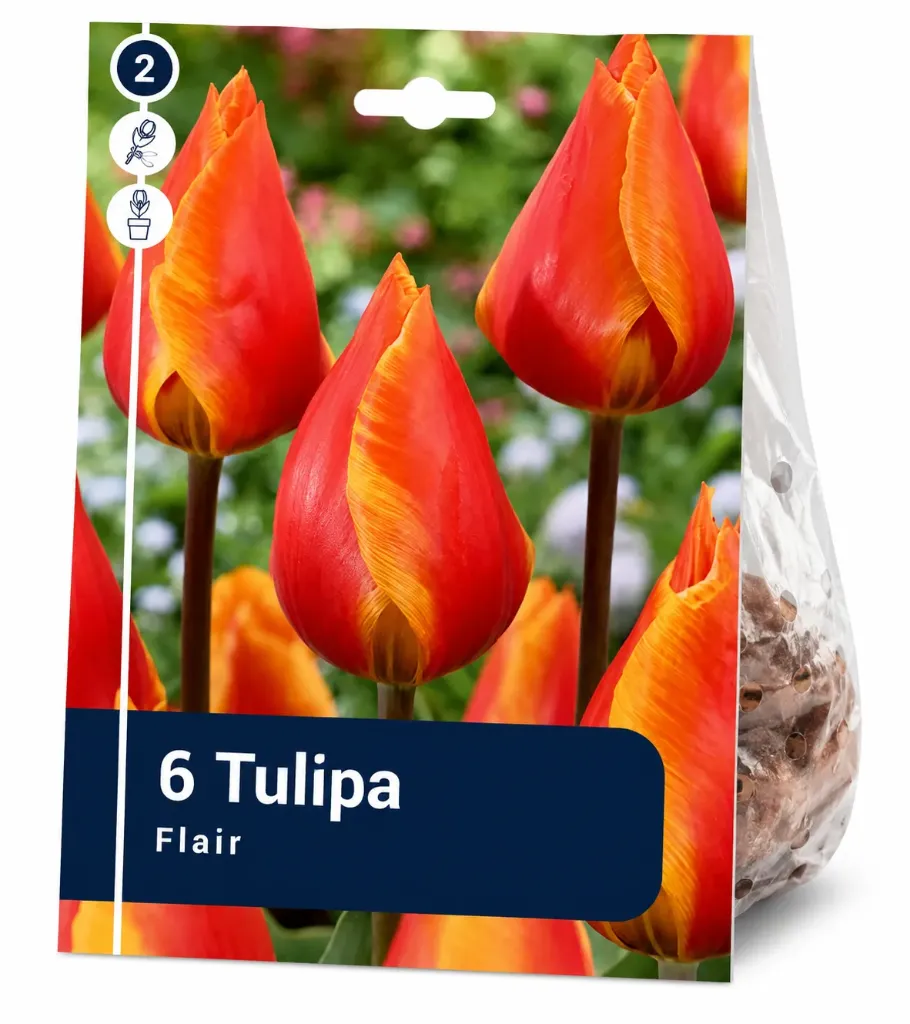 Tulppaani ’Flair’ – Tulipa ’Flair’ – 6 sipulia