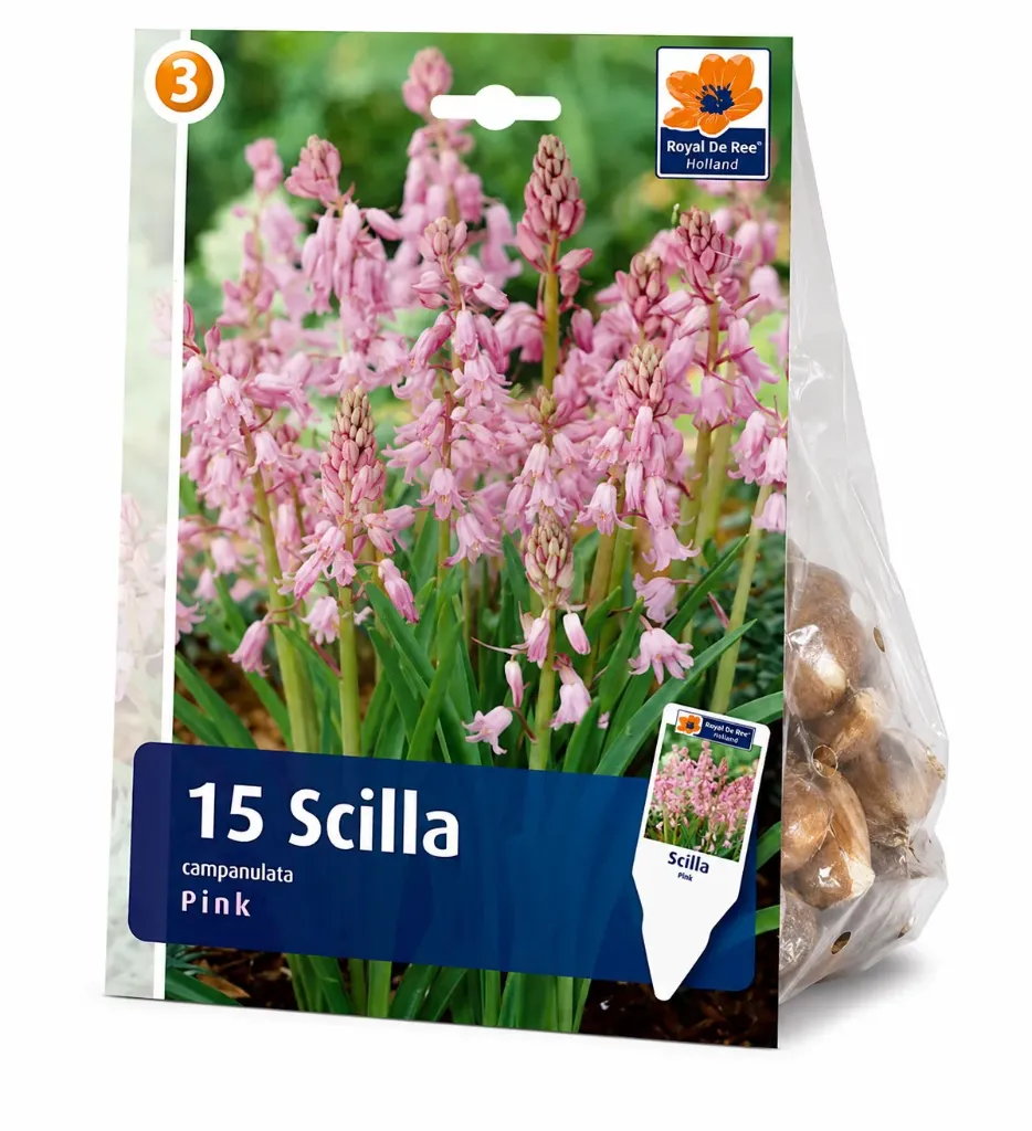 Espanjansinililja Pink – Scilla campanulata Pink – 15 sipulia