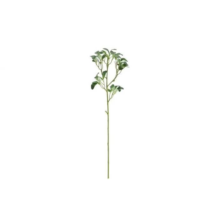 Mistelinoksa 64 cm – 4 Living Collection