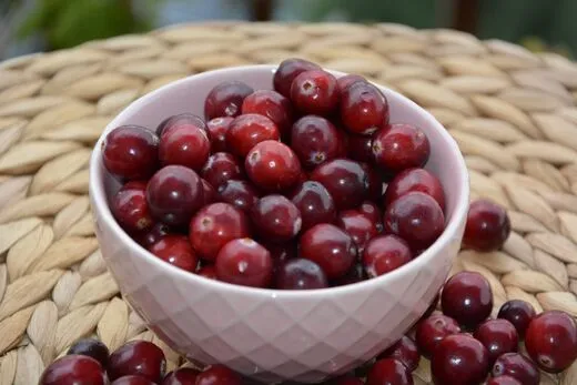 Amerikankarpalo – Vaccinium macrocarpon 'Early Black'