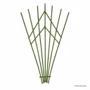 Köynnöskehikko viuhka vihreä