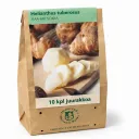 Maa-artisokka (Helianthus tuberosus) 10 kpl juurakko