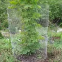 Jänisverkko 1,2 x 10 m vihreä