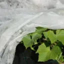 Hallaharso 32m2 3,2x10m