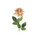Daalia ruskea / vaaaleanpunainen 58 cm – tekokukka – 4 Living Collection