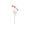 Unikko punainen mini oksa 60 cm – 4 Living Collection
