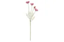 Unikko malva mini oksa 60 cm – 4 Living Collection