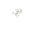 Harsokukka-oksa kulta 56 cm – 4 Living Collection