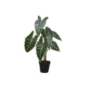 Juurakkovehka 51 cm | 4 Living Collection