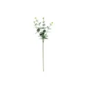Eucalyptus-silkkikukka 67 cm.