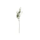 Eukalyptusoksa 92 cm