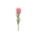 Protea-oksa 69 cm