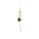 Salkoruusuoksa 79 cm
