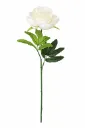 Silkkiruusu valkoinen 65 cm