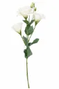 Eustoma valkoinen silkkikukka 68 cm