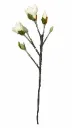 Magnolia silkkikukka 85 cm