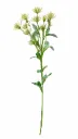 Tähtiputki valkoinen silkkikukka 63 cm