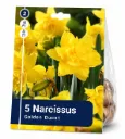 Narsissi ’Golden Ducat’ – Narcissus ’Golden Ducat’ – 5 sipulia