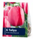 Tulppaani ’Pink Impression’ – Tulipa ’Pink Impression’ – 6 sipulia
