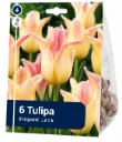 Liljatulppaani ’Elegant Lady’ – Tulipa ’Elegant Lady’ – 6 sipulia