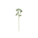 Mistelinoksa 64 cm – 4 Living Collection
